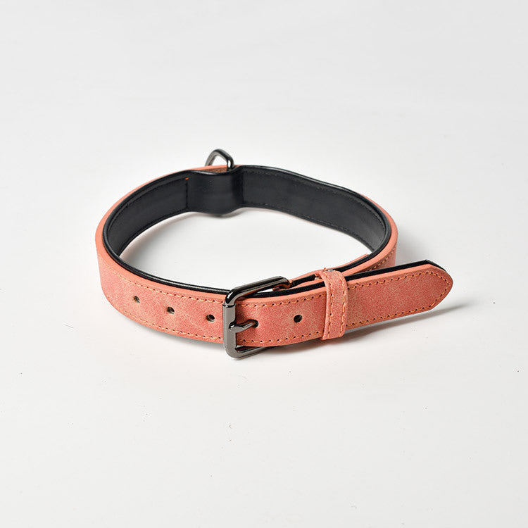 SafeTail ID Collar