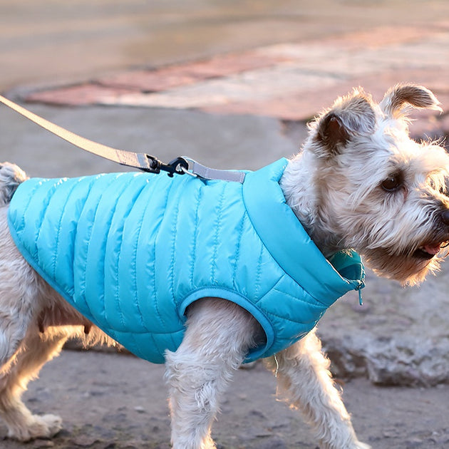 Full Nylon Zipper Jacket