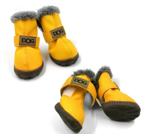 Teddy  Shoes