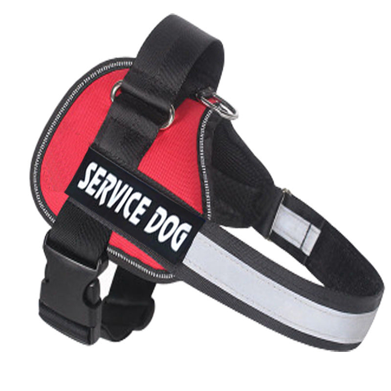 Service dog