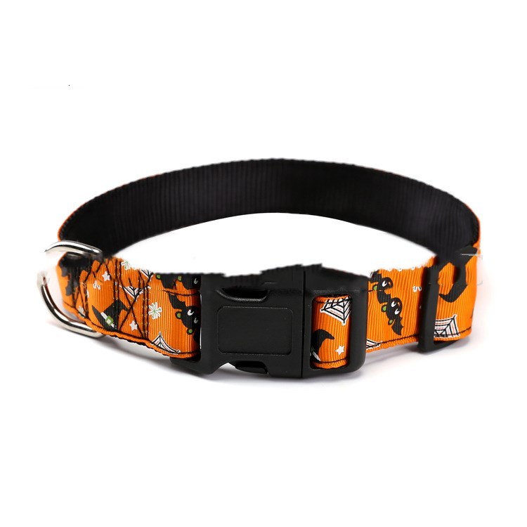 Spooky Collar
