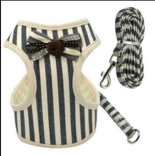Lilo Harness