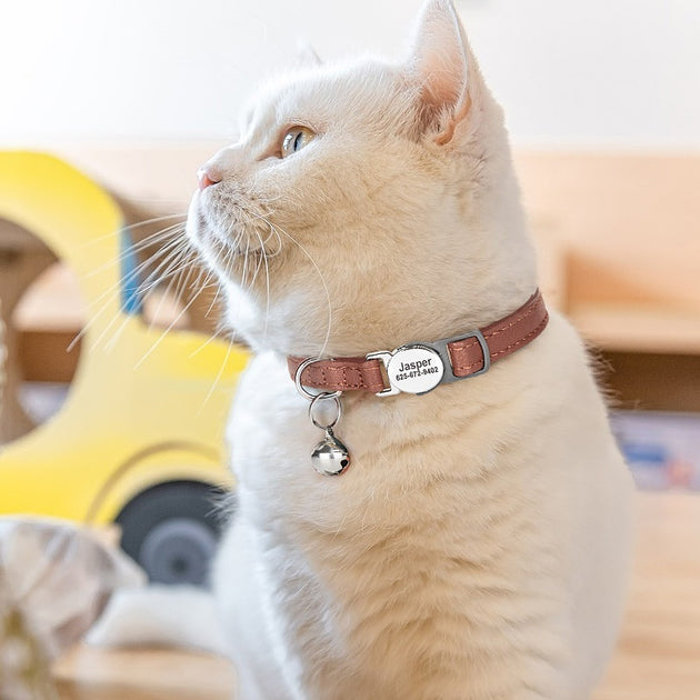 PurrSafe ID Collar