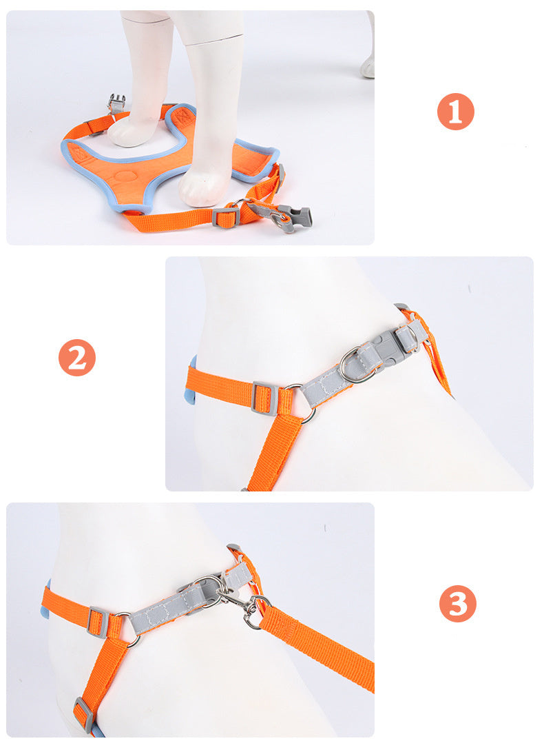 Reflective harness