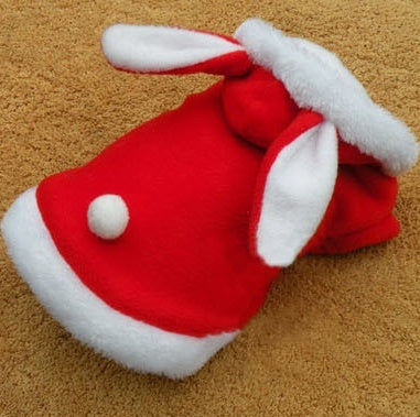 Rabbit Hoodie