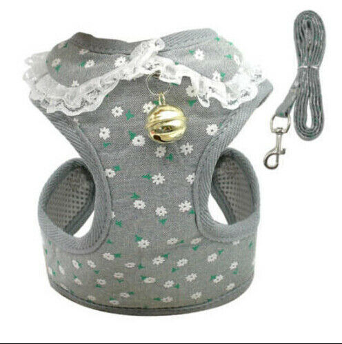 Lilo Harness