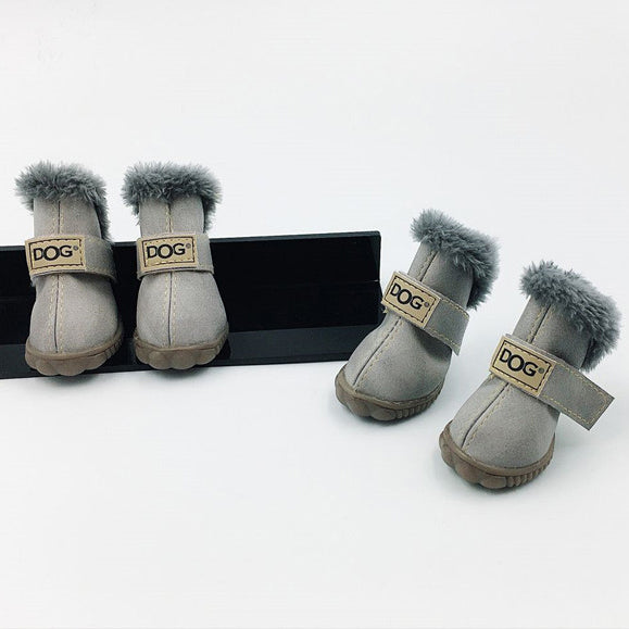 Teddy  Shoes