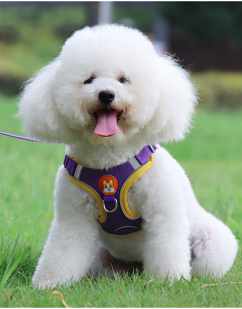 Reflective harness