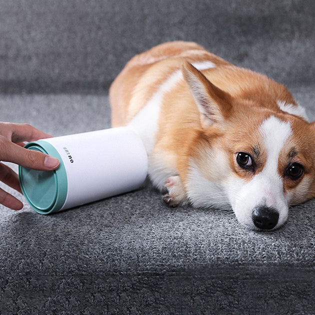 Paw Cleaner