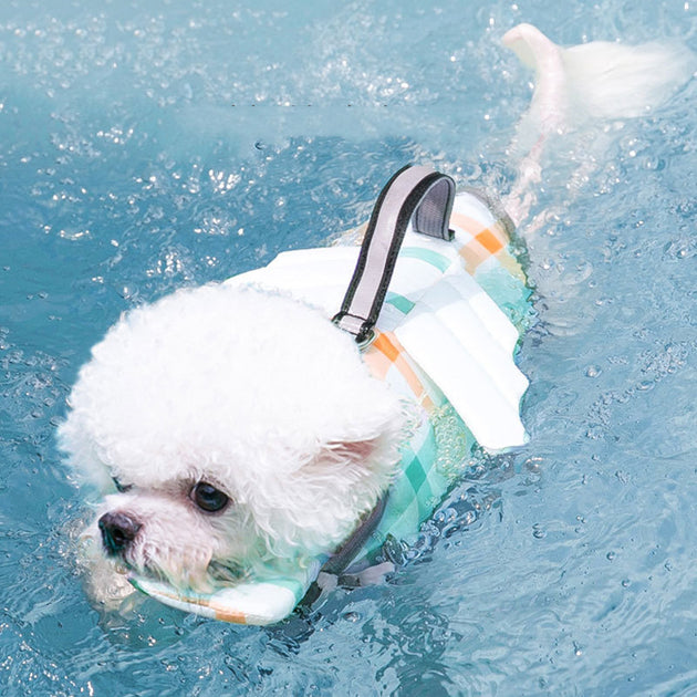Swimming Life Jacket
