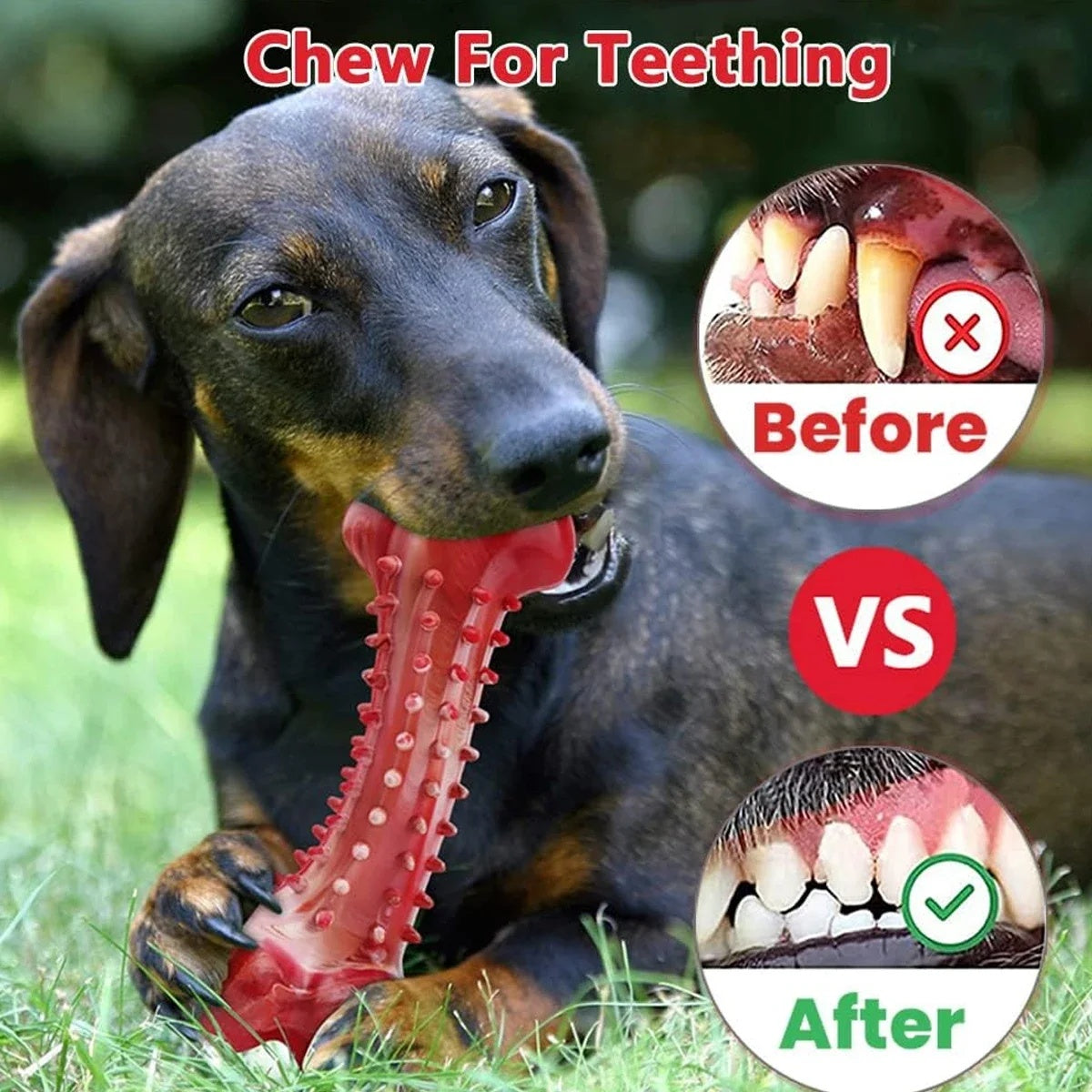 Chew Toy