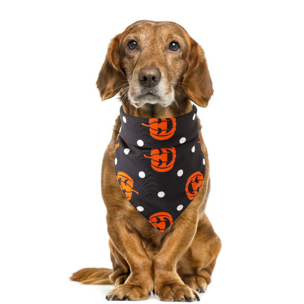 Pumpkin Scarves