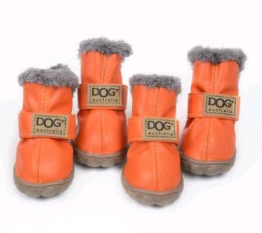 Teddy  Shoes