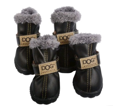 Teddy  Shoes