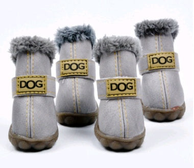 Teddy  Shoes