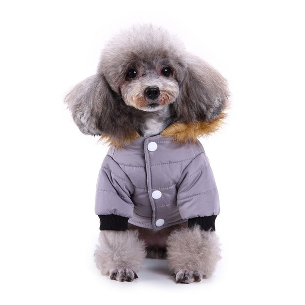 Warm jacket
