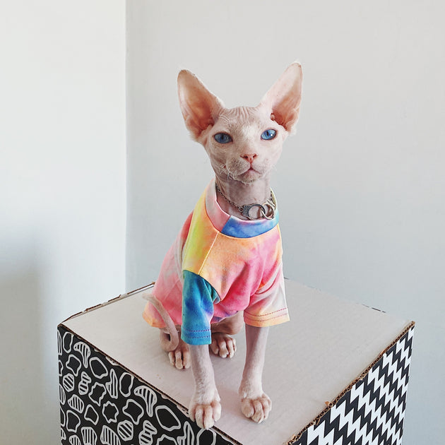 Tie-dye Rainbow