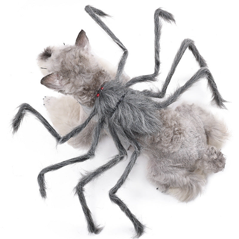 Spider Costume