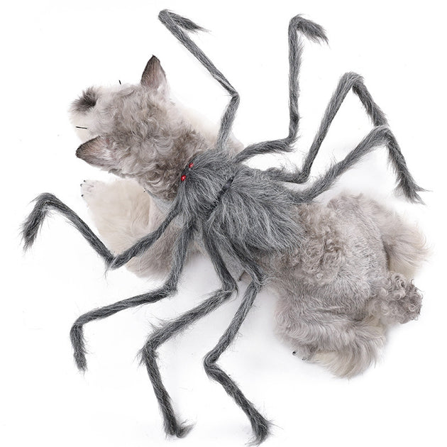 Spider Costume