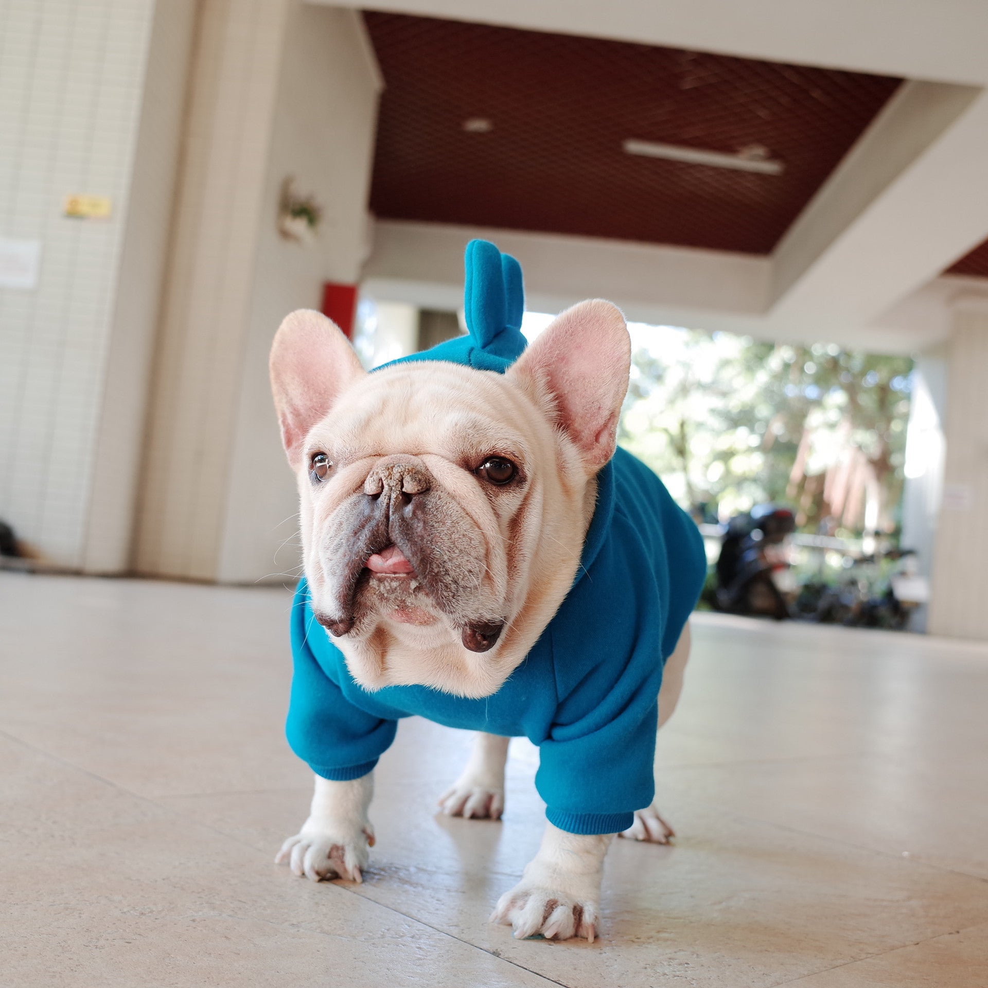 Pet Hoodie