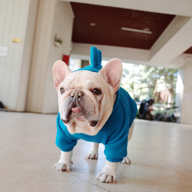 Pet Hoodie