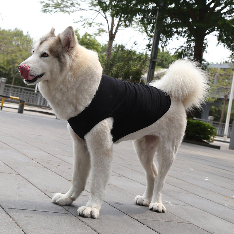 Chihuahua Tshirt