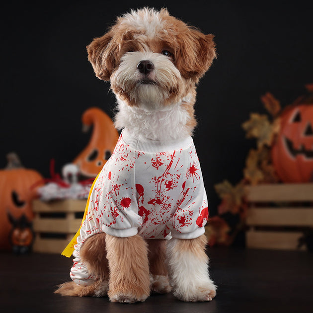 Seal Pet Costume