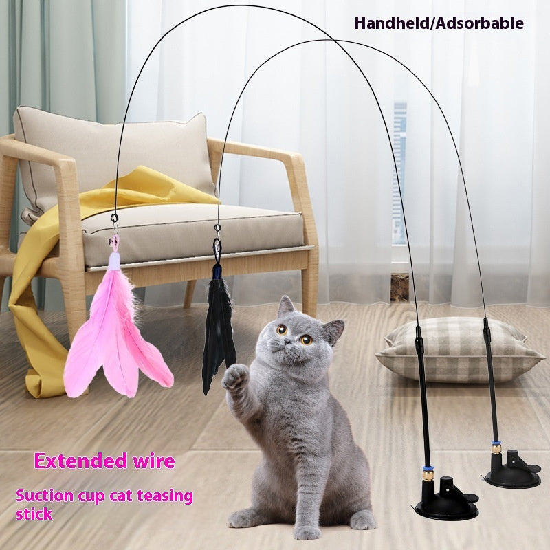 Cat Teaser