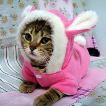 Rabbit Hoodie