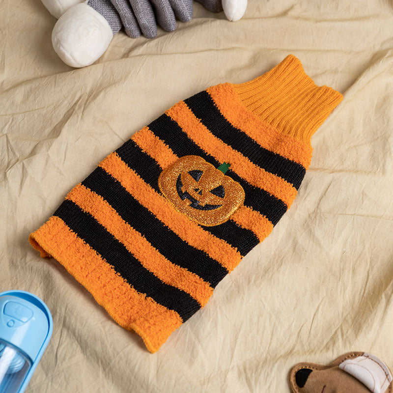 Teddy Sweater Outfit
