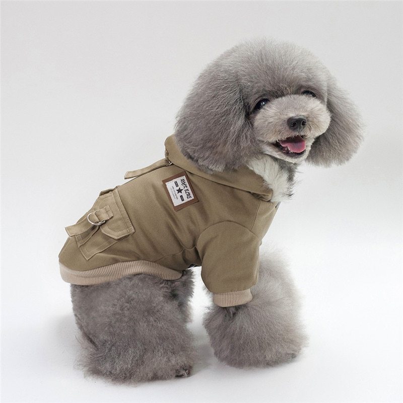 Cap coat