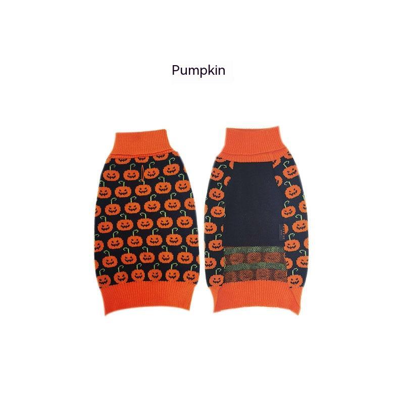 Teddy Sweater Outfit