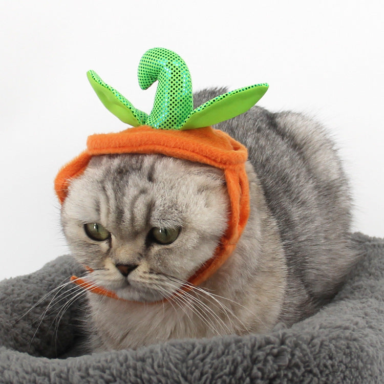 Pumpkin Costume