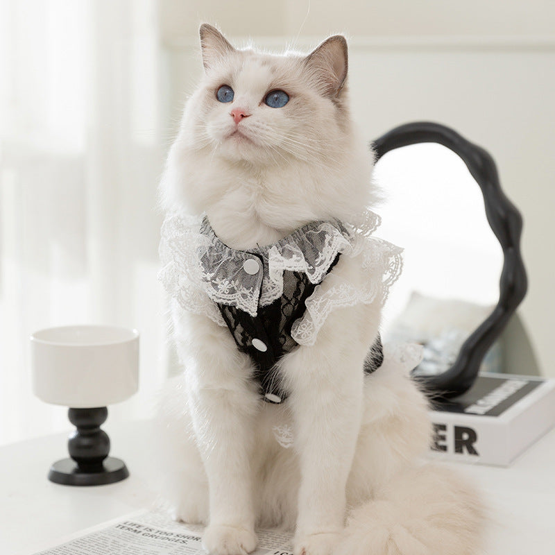 Lucy Vest