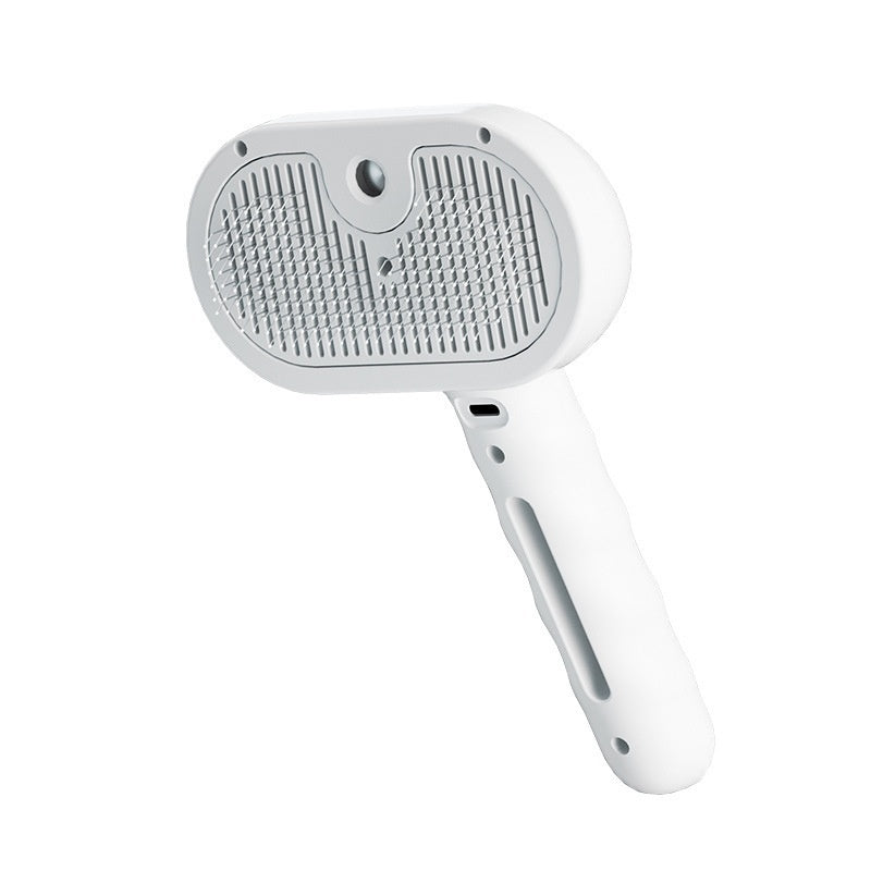 Hair Brush
