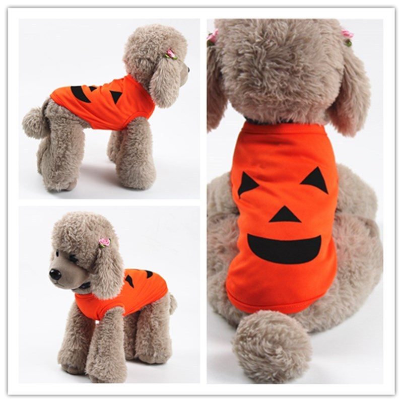 Pumpkin Shirt