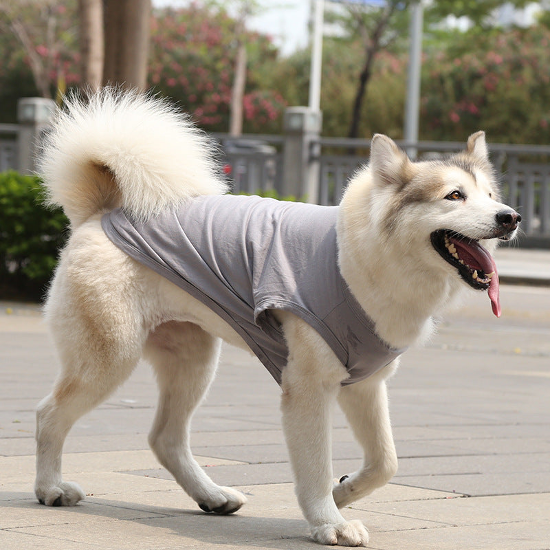 Chihuahua Tshirt
