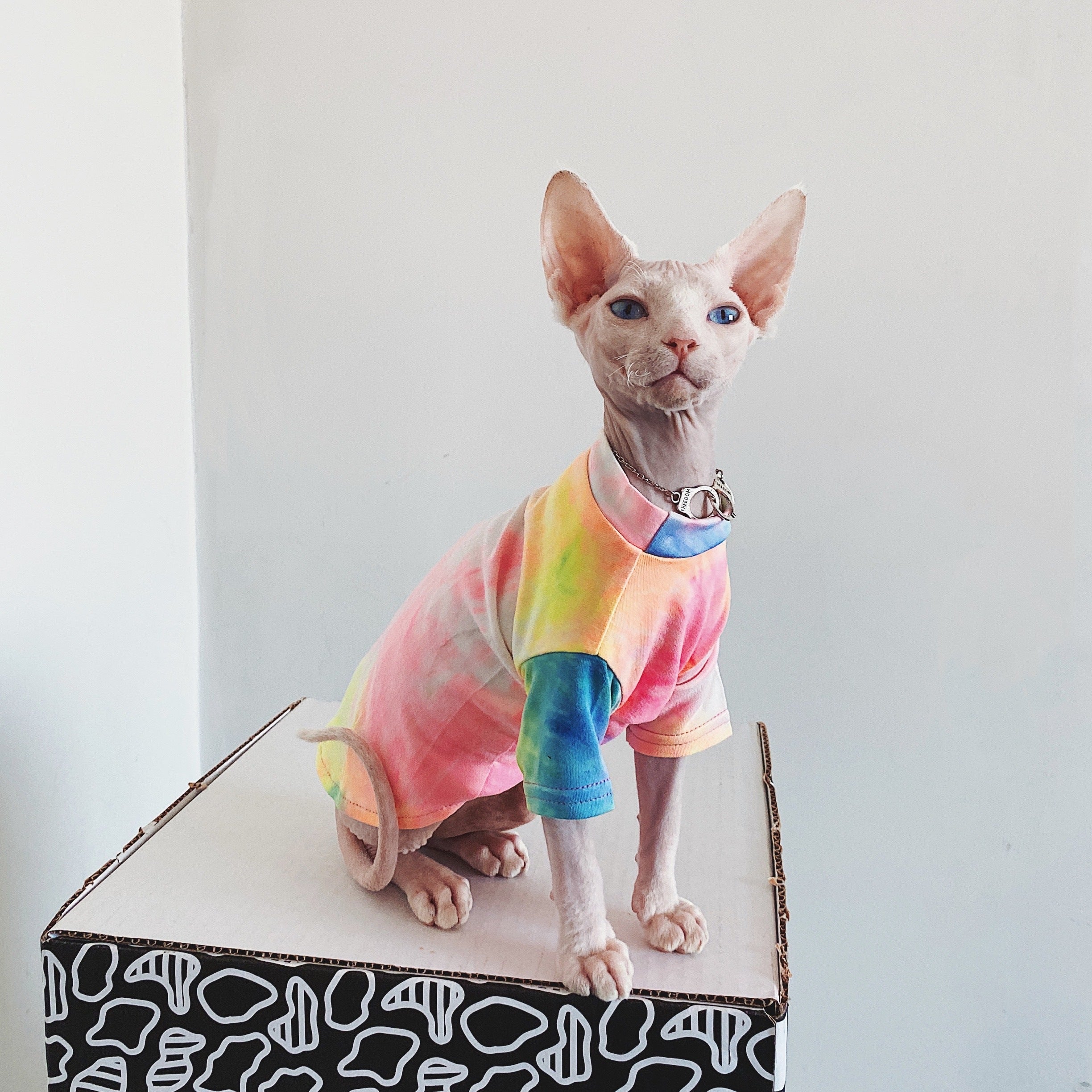 Tie-dye Rainbow
