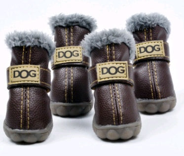 Teddy  Shoes
