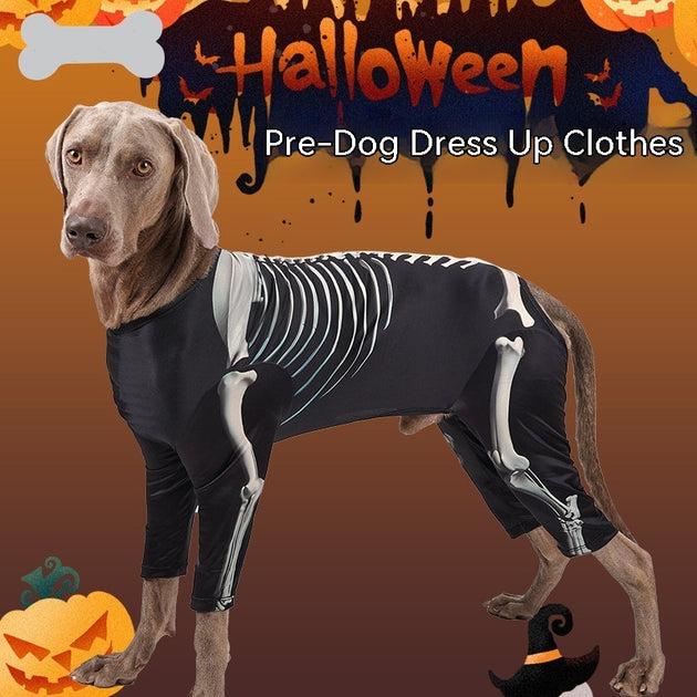 Skeleton Costume