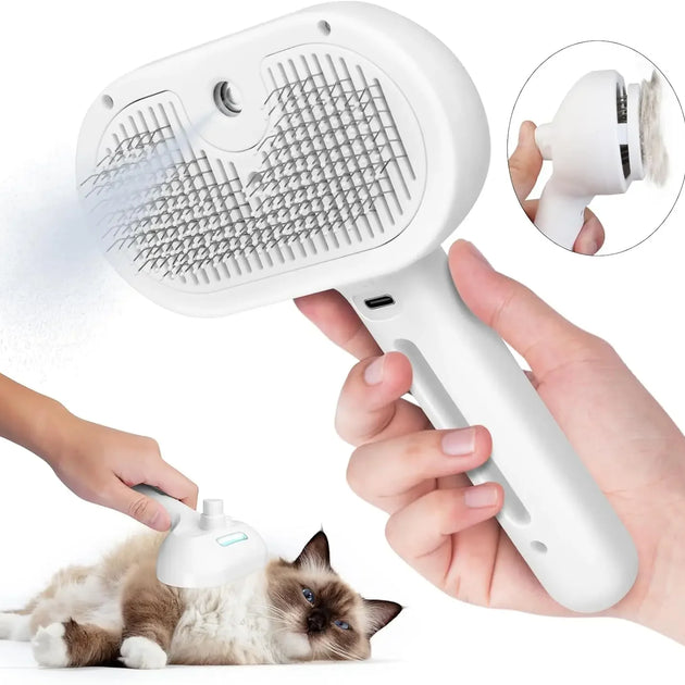 Hair Brush