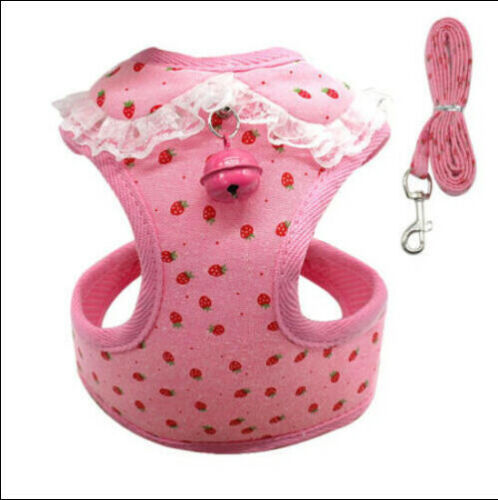 Lilo Harness