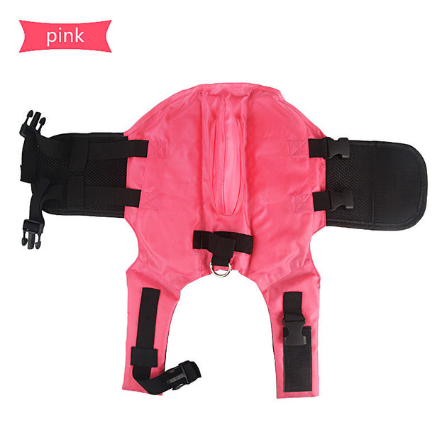 Shark life Jacket