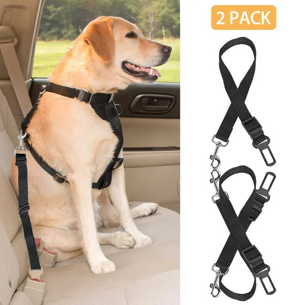 Seat Belt Leash