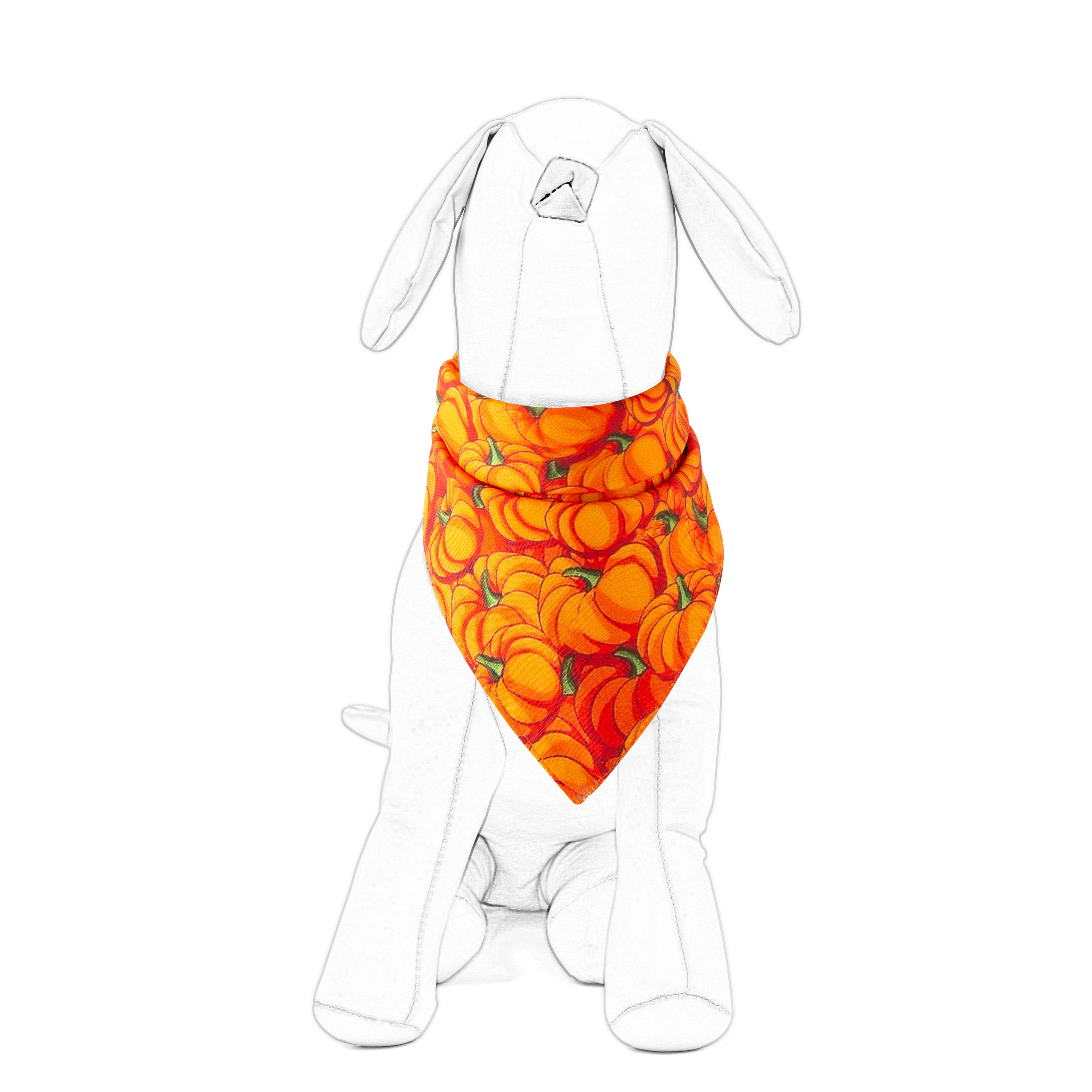 Pumpkin Scarves