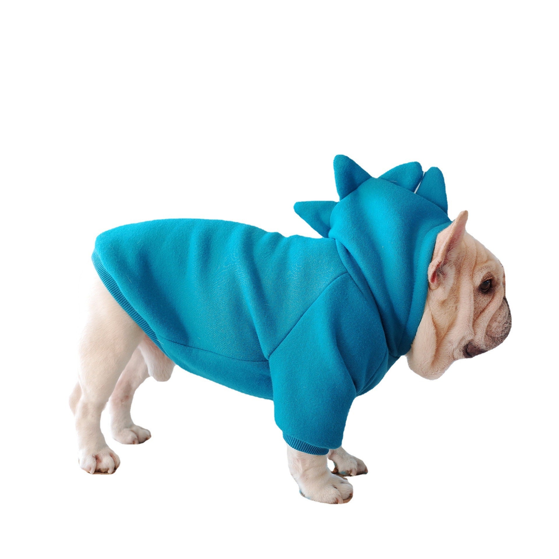 Pet Hoodie