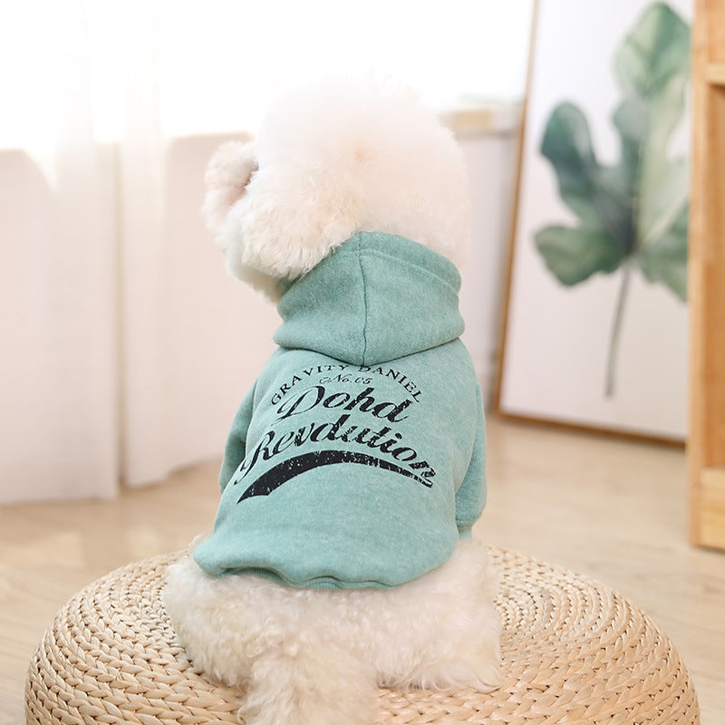 Asher Hoodie