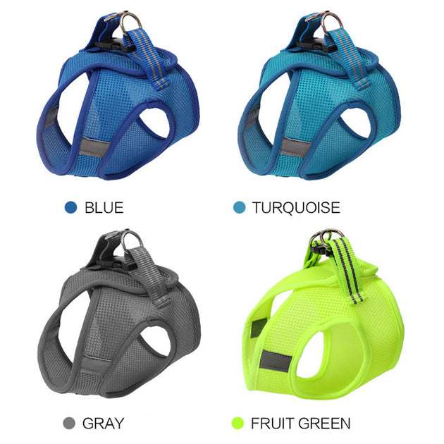 Anti-strike harness