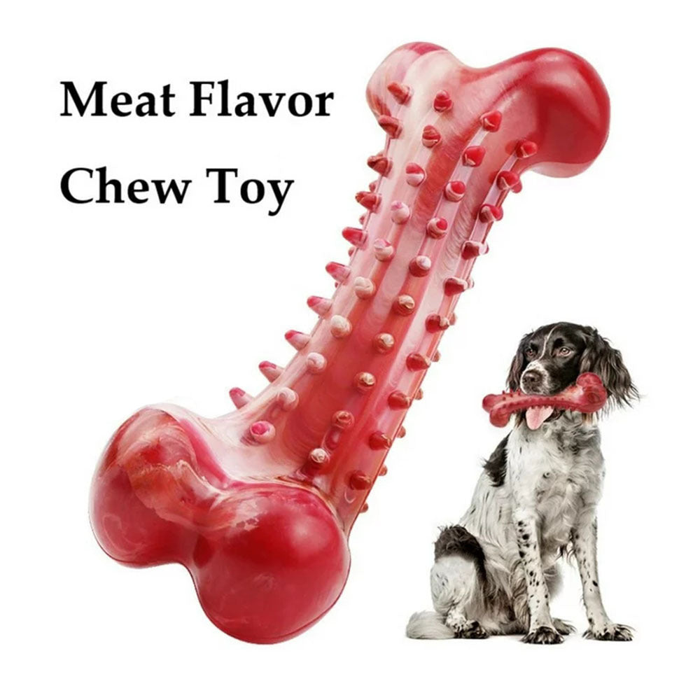 Chew Toy
