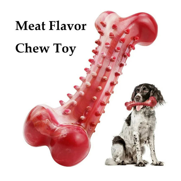 Chew Toy